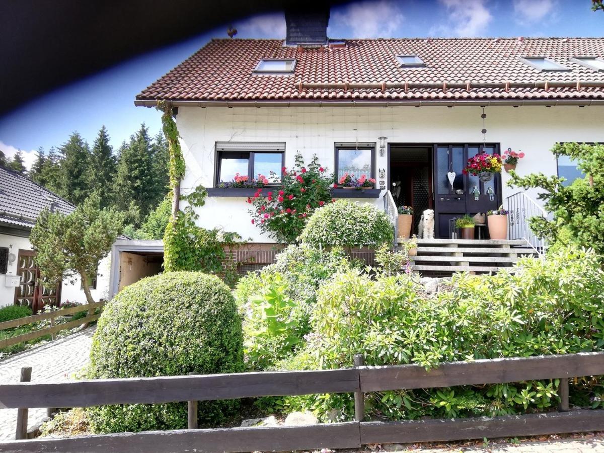 Anemone Mit Bergblick Apartament *